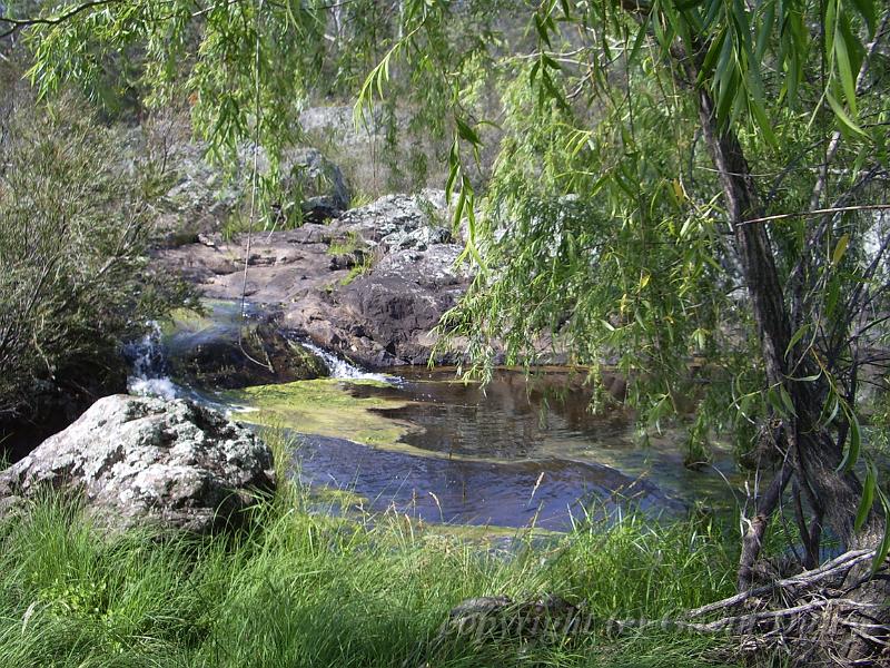 River, Dangar Falls IMGP0799.JPG